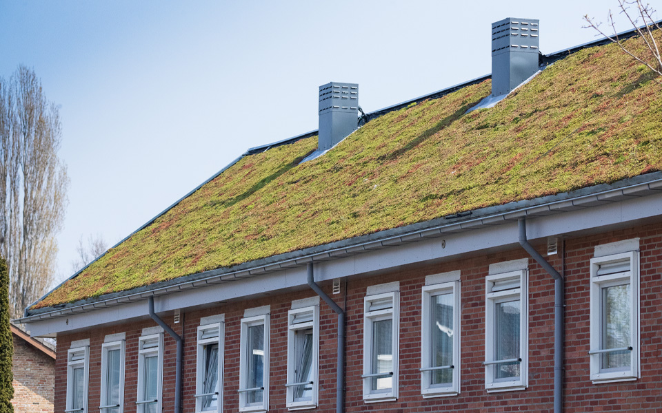 Project Dongen en Waspik